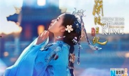 兰陵王妃在线观看,穿越时空的传奇爱情之旅